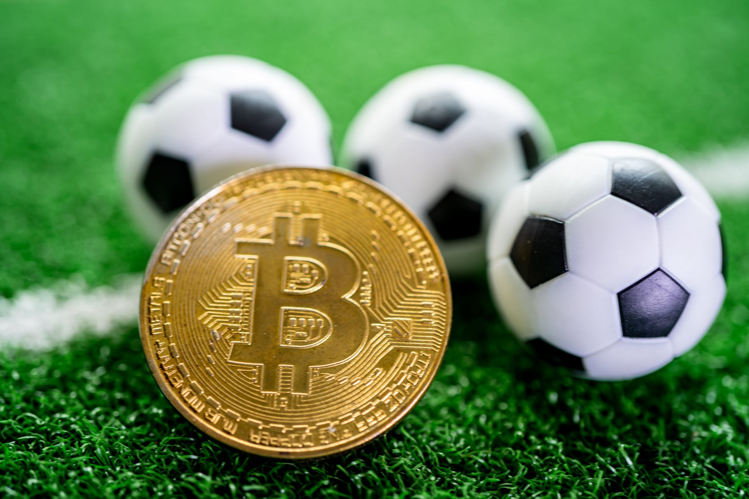 Different Sports to Bet Using Bitcoin